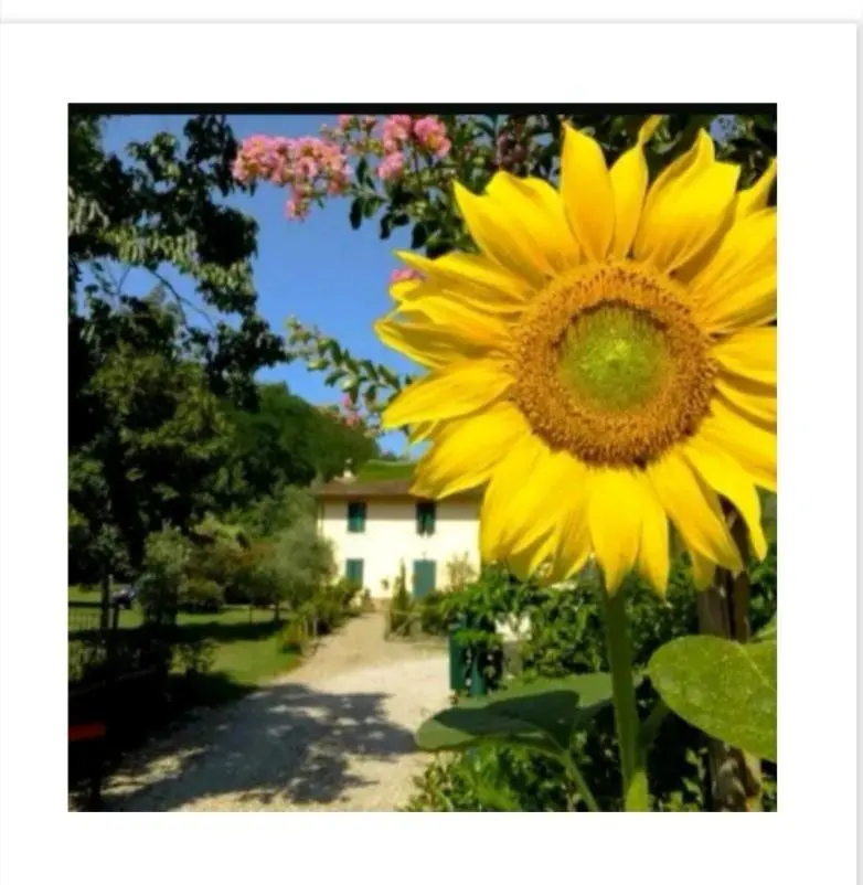 B&B Casanova Casa Vacanze