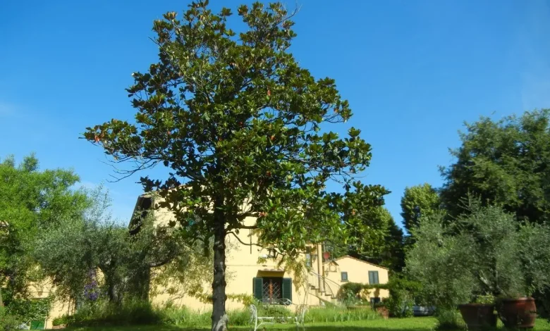 Il Borghetto e la Casina