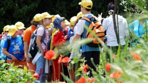 Bando per contributi per l'organizzazione di campi solari a Cascina