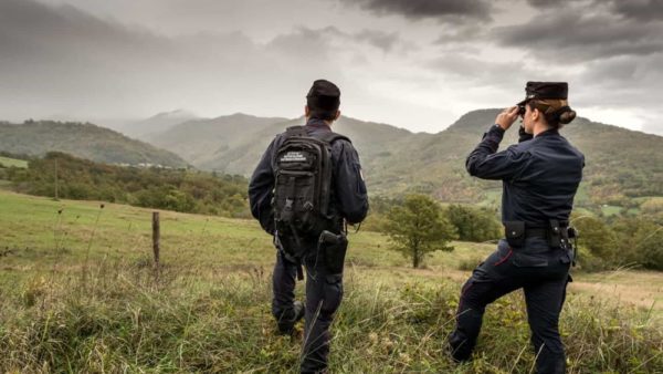 Rufina: Multa di oltre mille euro per violazioni dei controlli sui tagli boschivi