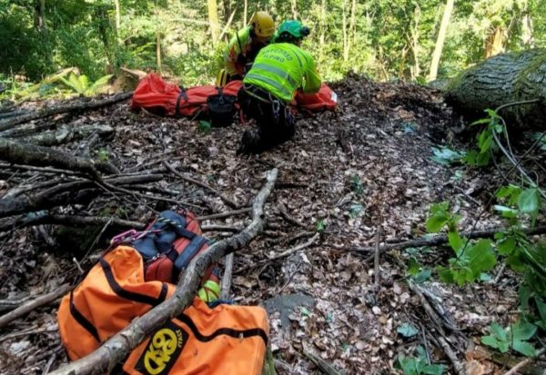 Incidente fatale durante il lavoro nel bosco: uomo travolto da un albero