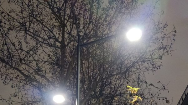 Illuminazione dei lampioni e il suo effetto sulla dormizione autunnale degli alberi: uno studio approfondito