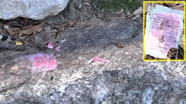 Rosignano, pericolo esche velenose nell'area del passeggio cani: "State all'erta". Foto