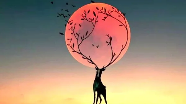 La spettacolare Superluna del cervo, un evento celeste da non perdere, illuminerà la notte di lunedì 3 luglio.