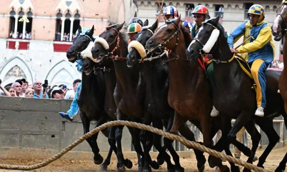 Palio di Siena il 16 agosto: Estratte le contrade Tartuca, Chiocciola e Giraffa