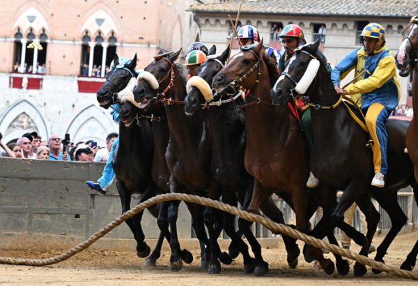 Palio di Siena il 16 agosto: Estratte le contrade Tartuca, Chiocciola e Giraffa