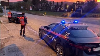 Truffa a Marciana Marina | Giovane truffatore vendeva polizze auto false a un anziano, denunciato