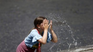 Meteo | Previsioni Livorno: Sole e temperature elevate per tutta la settimana, afa intensa anche di notte