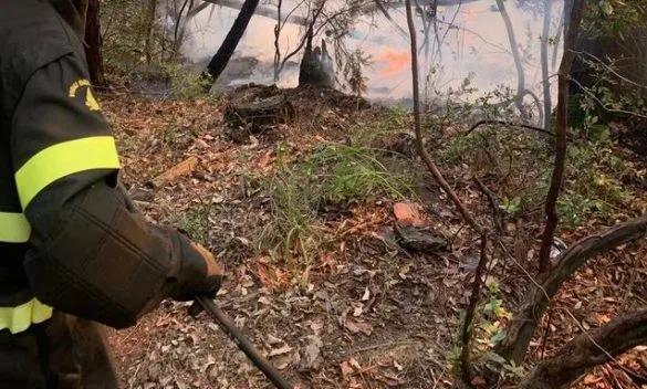 Incendio nei boschi di Carignano, Lucca: arriva anche l'elicottero Elilucca