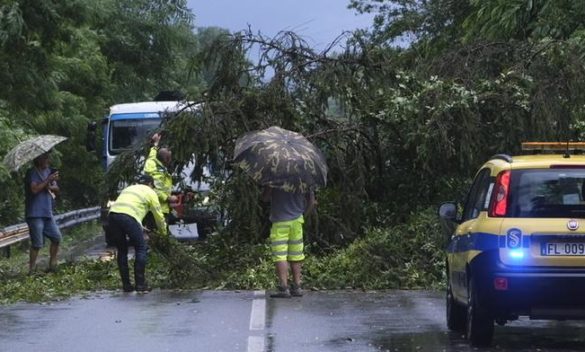 Bufera lampo, viabilità in tilt.  'Strage' di alberi lungo le strade, pali abbattuti e tetti scoperchiati