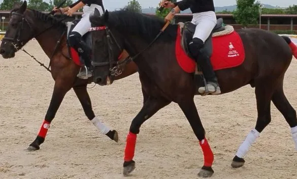 Carica dei mille alle Ponyadi da urlo "Festa di sport per bimbi e famiglie"