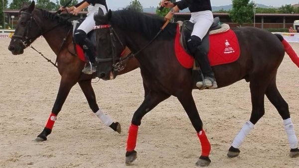 Carica dei mille alle Ponyadi da urlo "Festa di sport per bimbi e famiglie"
