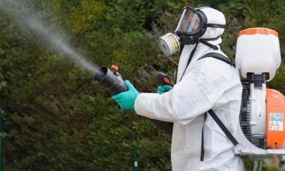 Dengue, un caso in Garfagnana