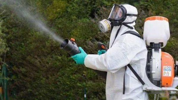 Dengue, un caso in Garfagnana