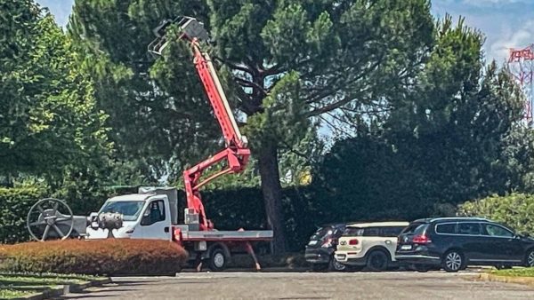 Montelupo, operaio precipita mentre pota un albero: è grave