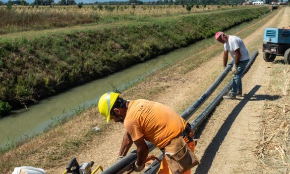 Consorzio e irrigazione La proposta di Conti: "Il clima che cambia impone nuovi servizi"