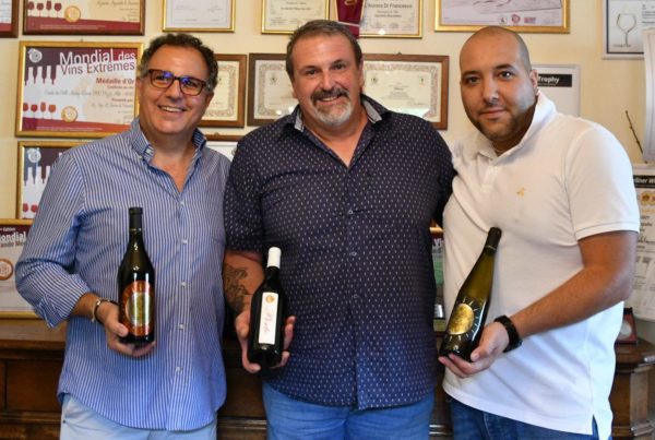 Candia da super premi Gran medaglia d'oro al vino di Pietro Mosti