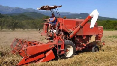 Le nostre tradizioni Claudio, l'ultimo 'battitore' Orgoglio degli agricoltori "Forza indispensabile"