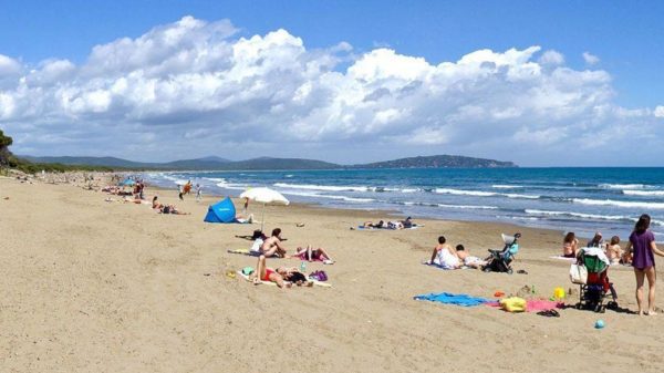 "La plastica in Feniglia non arriva dalla laguna"