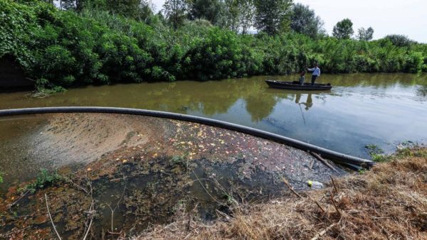 Padule, arriva la barriera per intrappolare la plastica