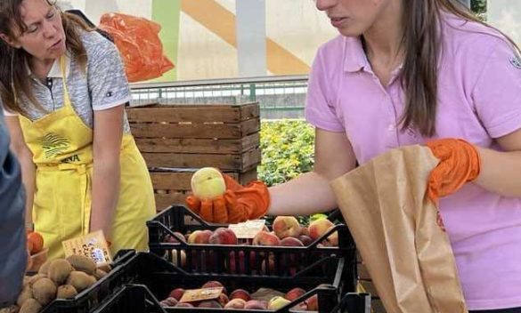 Carrello della spesa sempre più vuoto "Prezzi alle stelle, si compra meno"