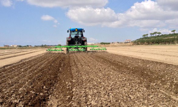 Unipi: Guida il progetto europeo per lo sviluppo agricolo dei terreni aridi e semiaridi