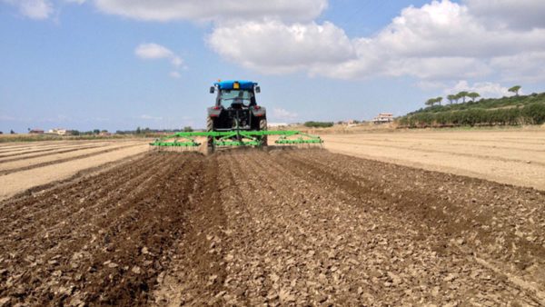 Unipi: Guida il progetto europeo per lo sviluppo agricolo dei terreni aridi e semiaridi