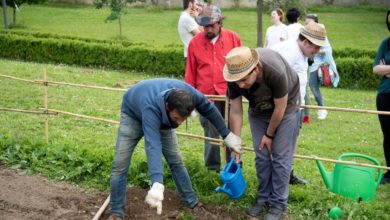 Agricoltura sociale: un'opportunità per lo sviluppo delle aree montane e l'inserimento lavorativo