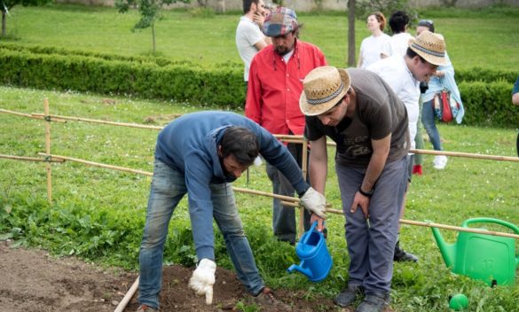 Agricoltura sociale: un'opportunità per lo sviluppo delle aree montane e l'inserimento lavorativo