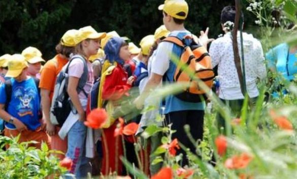 San Giuliano Terme: sostegno economico per l'iscrizione dei bambini ai campi solari