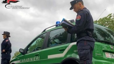 Bibbona, motociclista multato per aver circolato in area protetta