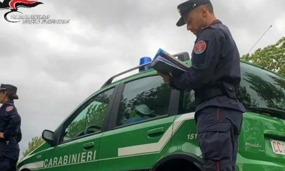 Bibbona, motociclista multato per aver circolato in area protetta