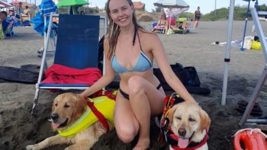 Due donne al limite del pericolo: i cani bagnini le salvano dall'annegamento