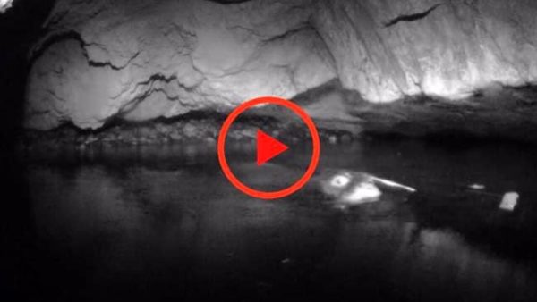 La foca monaca ritorna nella grotta di Capraia: ecco il video dell'ultima avvistamento