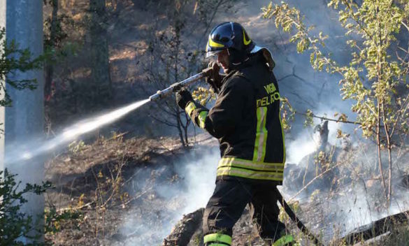 Campo di 3mila metri quadri in fiamme a causa di un corto circuito al palo della luce