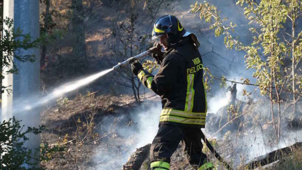 Campo di 3mila metri quadri in fiamme a causa di un corto circuito al palo della luce