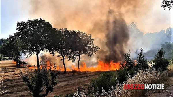 Vietato accendere fuochi: misura drastica per prevenire gli incendi boschivi