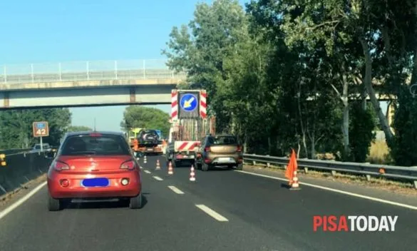 Choc sulla Fi-Pi-Li: scoperto un animale appeso a un cavalcavia