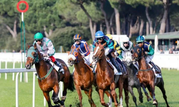 Il governatore Giani accoglie la proposta del ministro Lollobrigida per le corse notturne all'ippodromo di San Rossore