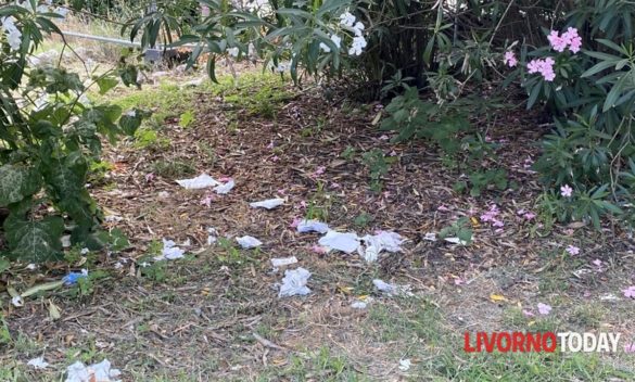 Protesta contro l'uso delle aree verdi dei Tre Ponti come bagni pubblici: cittadini indignati. - FOTO