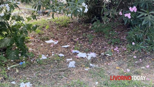 Protesta contro l'uso delle aree verdi dei Tre Ponti come bagni pubblici: cittadini indignati. - FOTO