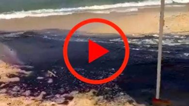 Emergenza sulla spiaggia della Biodola: un fiume di acqua nera inonda la costa dell'Isola d'Elba e si riversa in mare. Guarda il video.