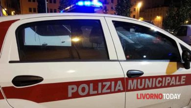 Minaccia di autista ci è scagliato contro da un veicolo urtato
alla fermata dell'autobus: intervento immediato della Polizia municipale