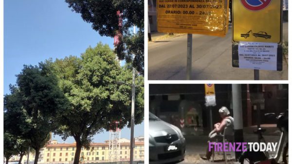 Comitato ottiene una mezza vittoria: anche 'sentinelle' notturne vigilano sul taglio degli alberi (FOTO)