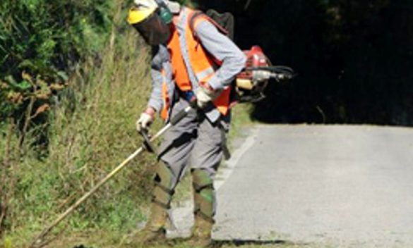 Calci pressa il Consorzio di Bonifica affinché acceleri i tagli nella manutenzione dei fossi