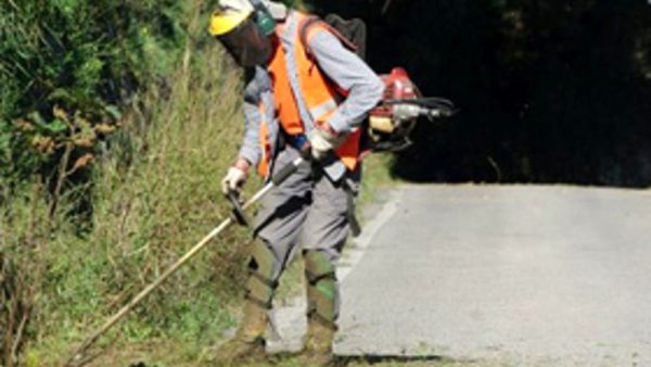 Calci pressa il Consorzio di Bonifica affinché acceleri i tagli nella manutenzione dei fossi