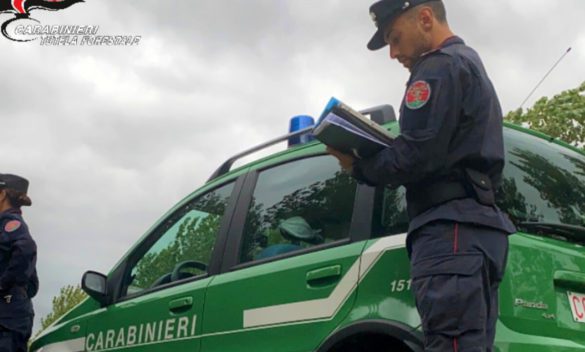 Due pozzi irregolari in un'azienda agricola a Castagneto Carducci: multa di mille euro.