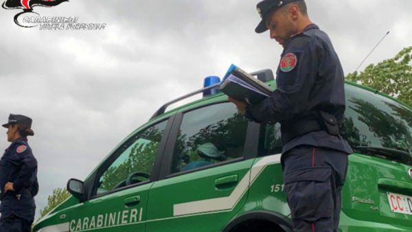 Due pozzi irregolari in un'azienda agricola a Castagneto Carducci: multa di mille euro.