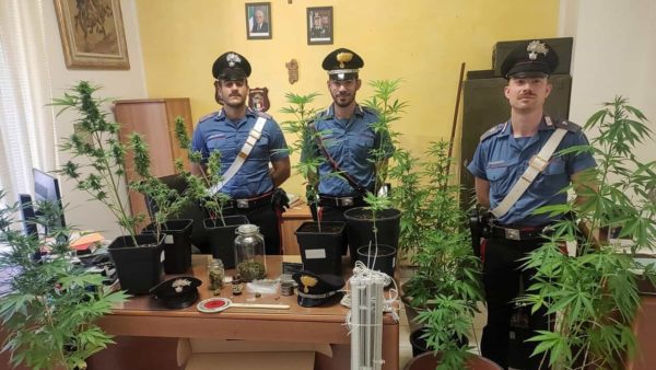 Ultra 60enne denunciato per trasformazione di casa in serra di marijuana: le immagini del ritrovamento