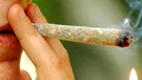 Assolto dopo l'incidente: CBD prescritto dal dottore, non droga